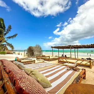 Alito 4*, Tulum Mexico